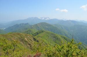 H250605 0914 稲包山から平標山や仙ノ倉山などこれからの道程を望むが三国峠までも登ったり下りたりが続く